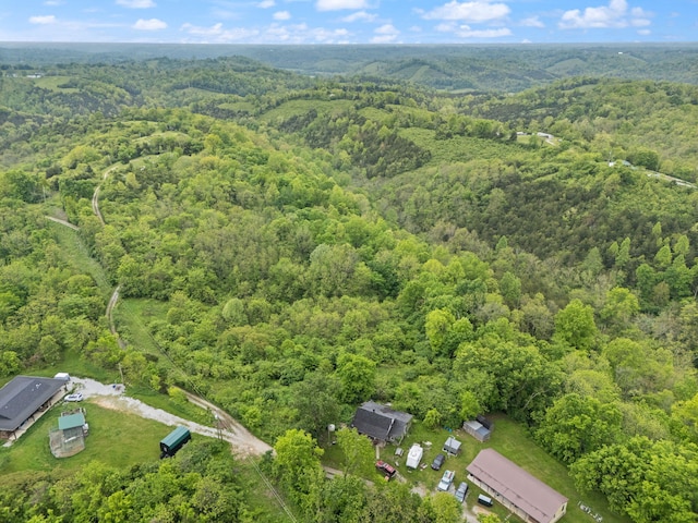 571 Whitlock Rd, Richmond, KY 40475 - view of property location featuring a heavily wooded area