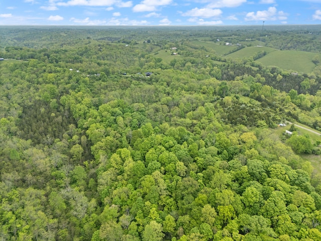 571 Whitlock Rd, Richmond, KY 40475 - aerial view of a forest