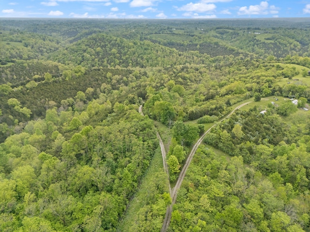571 Whitlock Rd, Richmond, KY 40475 - aerial view of property's location with a heavily wooded area