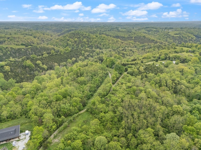 571 Whitlock Rd, Richmond, KY 40475 - aerial view of property's location featuring a forest