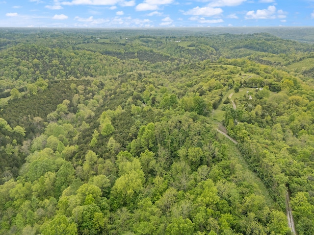 571 Whitlock Rd, Richmond, KY 40475 - drone / aerial view of a heavily wooded area