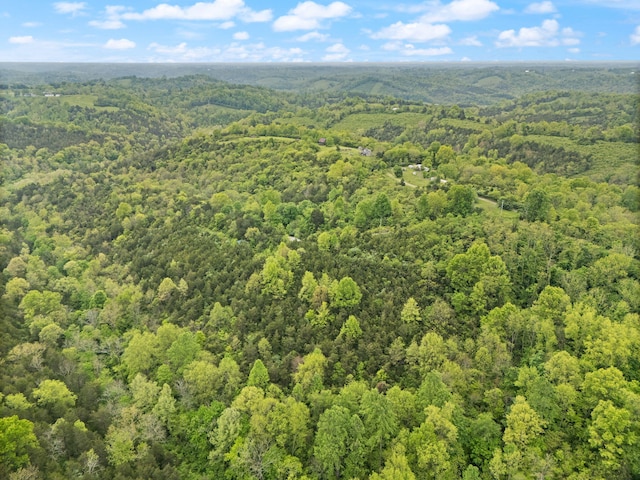 571 Whitlock Rd, Richmond, KY 40475 - drone / aerial view of a heavily wooded area