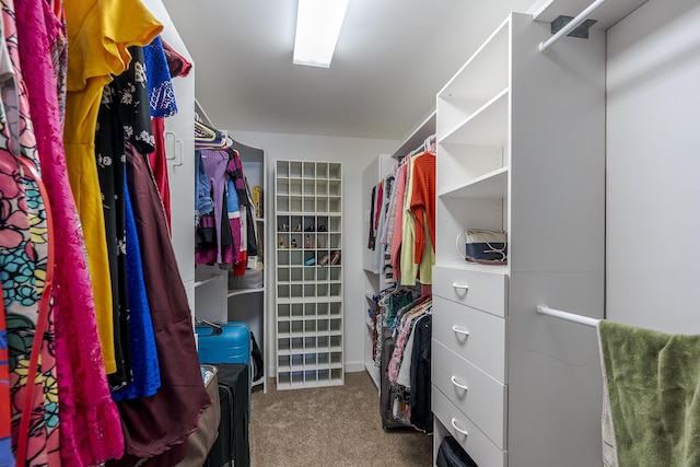 4120 Amberwood Ct, Lexington, KY 40513 - walk in closet with carpet