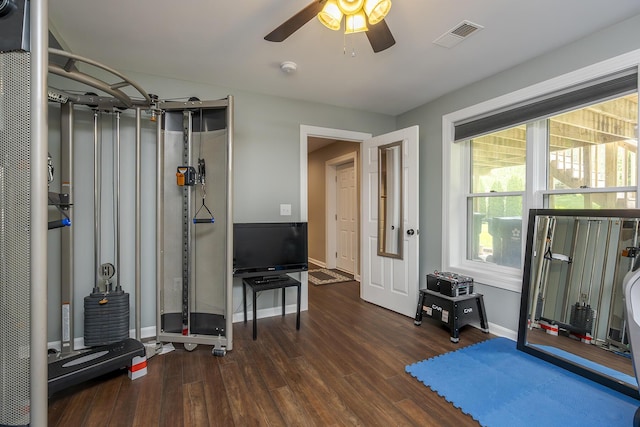 exercise room with wood finished floors, a ceiling fan, and plenty of natural light