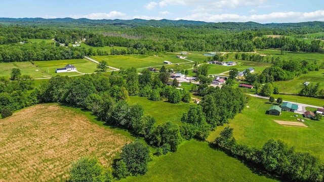 6362 E Laurel Rd, London, KY 40741 - overview of rural landscape with a forest and mountains