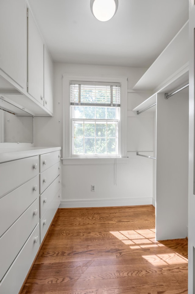 1373 Delong Cir, Lexington, KY 40515 - walk in closet featuring light wood finished floors