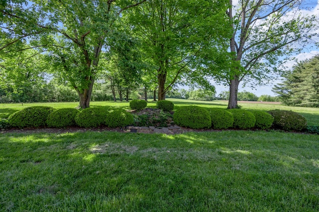 1373 Delong Cir, Lexington, KY 40515 - view of grassy yard