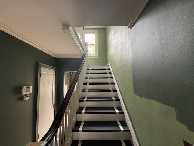 808 Windsor Ct, Ashland, KY 41101 - stairs featuring ornamental molding