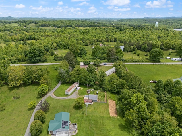 3131 Lily Rd, London, KY 40744 - drone / aerial view of a forest