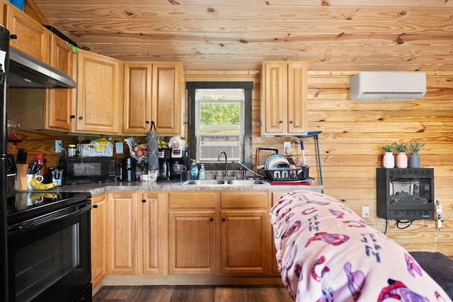 266 Boaters Aly, Nancy, KY 42544 - kitchen featuring a sink, black appliances, a wall mounted AC, heating unit, and range hood