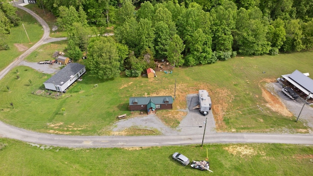 266 Boaters Aly, Nancy, KY 42544 - drone / aerial view