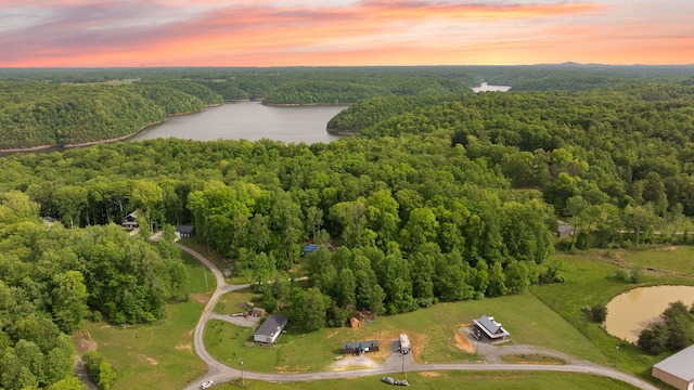 266 Boaters Aly, Nancy, KY 42544 - aerial view of property's location with a large body of water and a forest