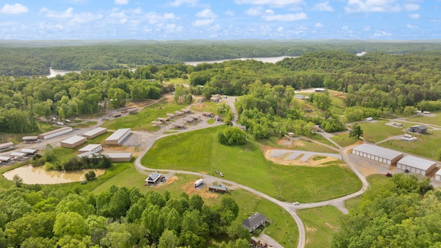 266 Boaters Aly, Nancy, KY 42544 - drone / aerial view of a heavily wooded area and a nearby body of water