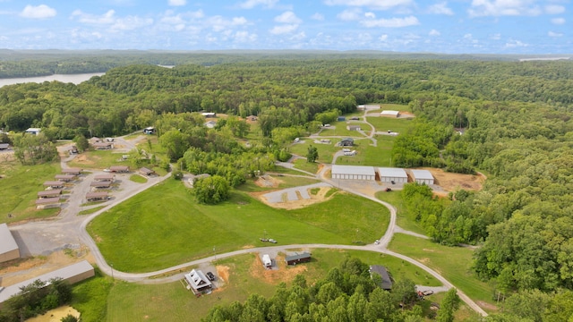 266 Boaters Aly, Nancy, KY 42544 - view of property location with a heavily wooded area and a large body of water