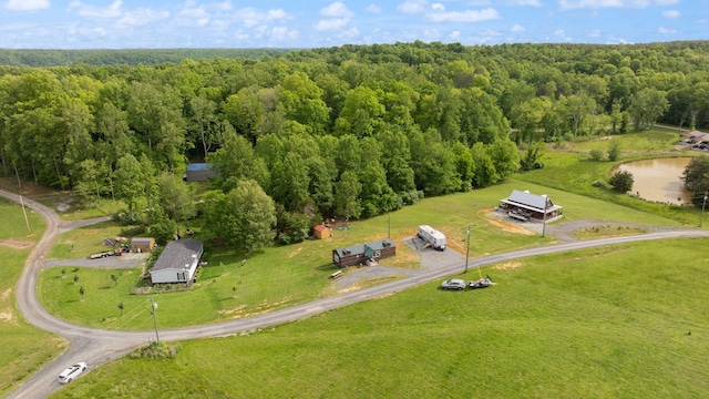 266 Boaters Aly, Nancy, KY 42544 - aerial view of a forest and a large body of water