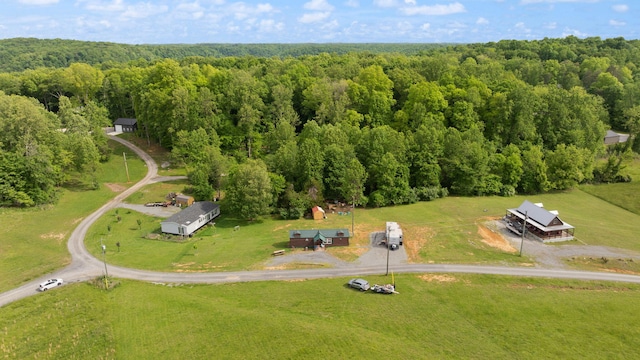 266 Boaters Aly, Nancy, KY 42544 - bird's eye view of a heavily wooded area