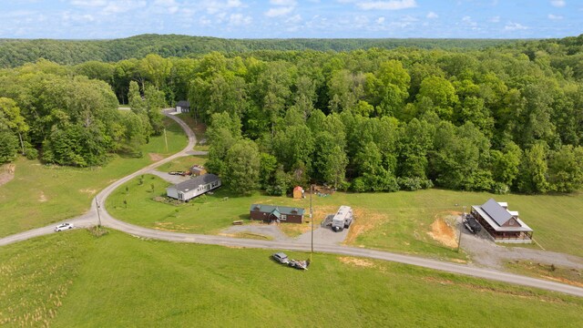 266 Boaters Aly, Nancy, KY 42544 - drone / aerial view of a forest
