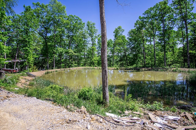 227 Callihan Rd, East Bernstadt, KY 40729 - water view with a forest