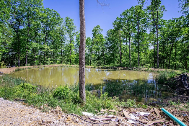 227 Callihan Rd, East Bernstadt, KY 40729 - water view