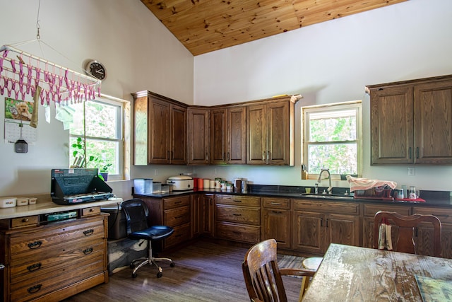 227 Callihan Rd, East Bernstadt, KY 40729 - kitchen with a sink, high vaulted ceiling, dark wood-style flooring, healthy amount of natural light, and wood ceiling