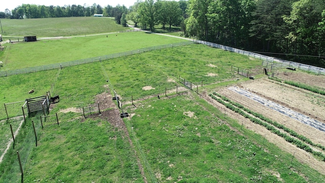 227 Callihan Rd, East Bernstadt, KY 40729 - view of yard featuring a view of rural / pastoral area and fence