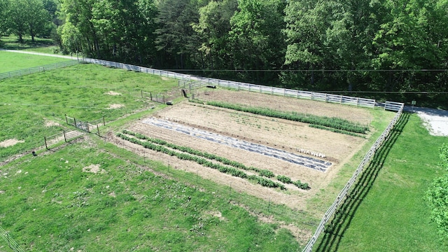 227 Callihan Rd, East Bernstadt, KY 40729 - view of home's community with a rural view, an enclosed horse arena, and fence