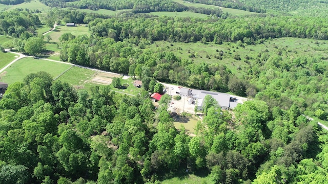 227 Callihan Rd, East Bernstadt, KY 40729 - aerial view of property's location with a forest