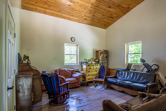 227 Callihan Rd, East Bernstadt, KY 40729 - living area with high vaulted ceiling, wood finished floors, and wooden ceiling