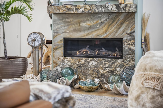 1782 W Leestown Rd, Midway, KY 40347 - detailed view of a high end fireplace