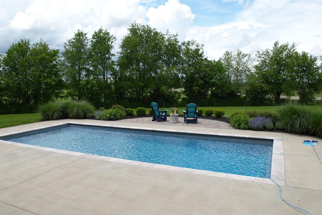 1782 W Leestown Rd, Midway, KY 40347 - swimming pool with a patio area and view of scattered trees