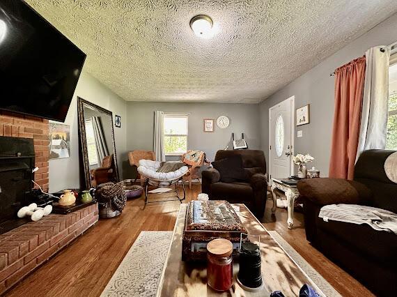 4216 N Ky 11, Cannon, KY 40923 - living room featuring wood finished floors, a textured ceiling, and a fireplace