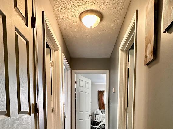 4216 N Ky 11, Cannon, KY 40923 - corridor with a textured ceiling