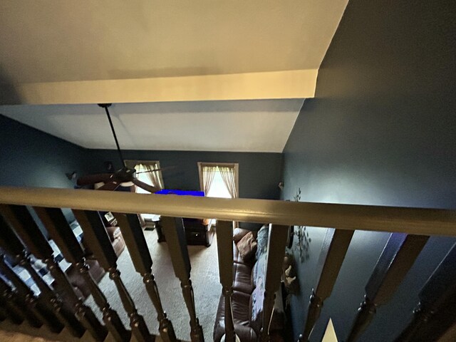 296 Ferry Rd, Somerset, KY 42503 - stairway with carpet and ceiling fan