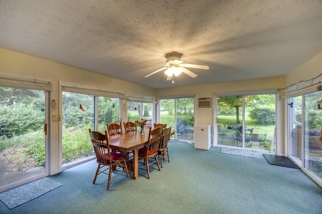 445 Cecilian Ter, Danville, KY 40422 - sunroom / solarium featuring a textured ceiling, carpet, and an AC wall unit