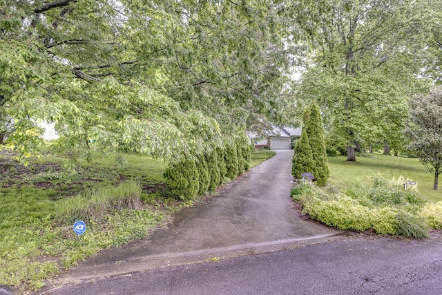445 Cecilian Ter, Danville, KY 40422 - obstructed view of property with a front lawn and a detached garage