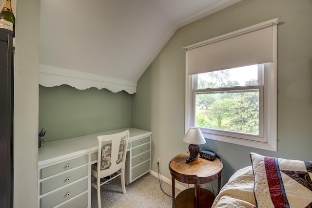 445 Cecilian Ter, Danville, KY 40422 - home office with vaulted ceiling, carpet flooring, and baseboards
