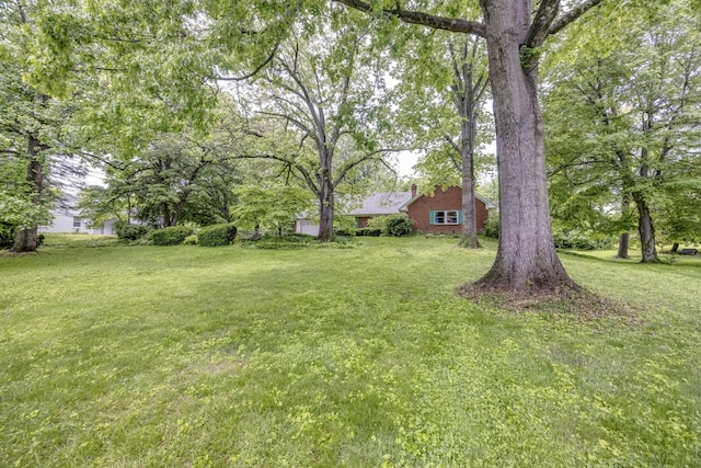 445 Cecilian Ter, Danville, KY 40422 - view of grassy yard
