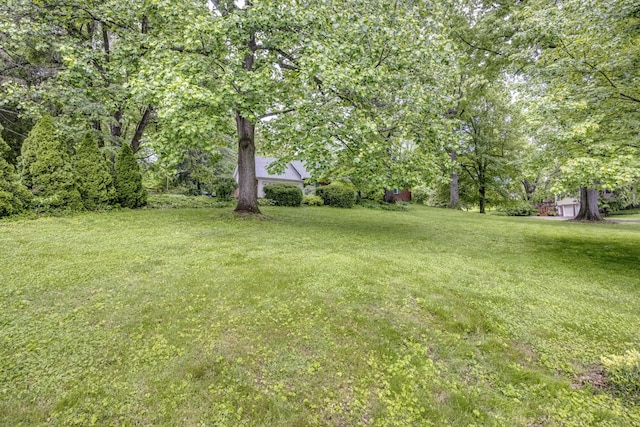 445 Cecilian Ter, Danville, KY 40422 - view of green lawn