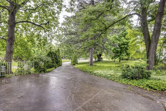 445 Cecilian Ter, Danville, KY 40422 - view of street