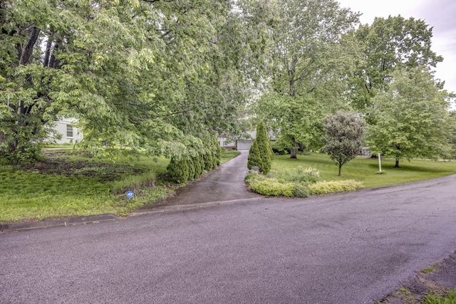 445 Cecilian Ter, Danville, KY 40422 - view of road