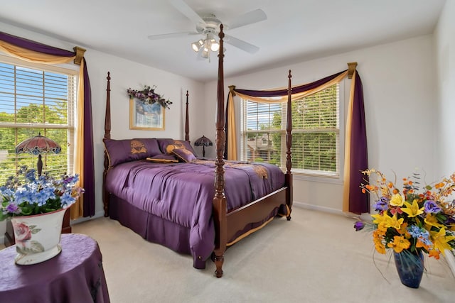 240 Percheron Dr, Richmond, KY 40475 - carpeted bedroom with ceiling fan