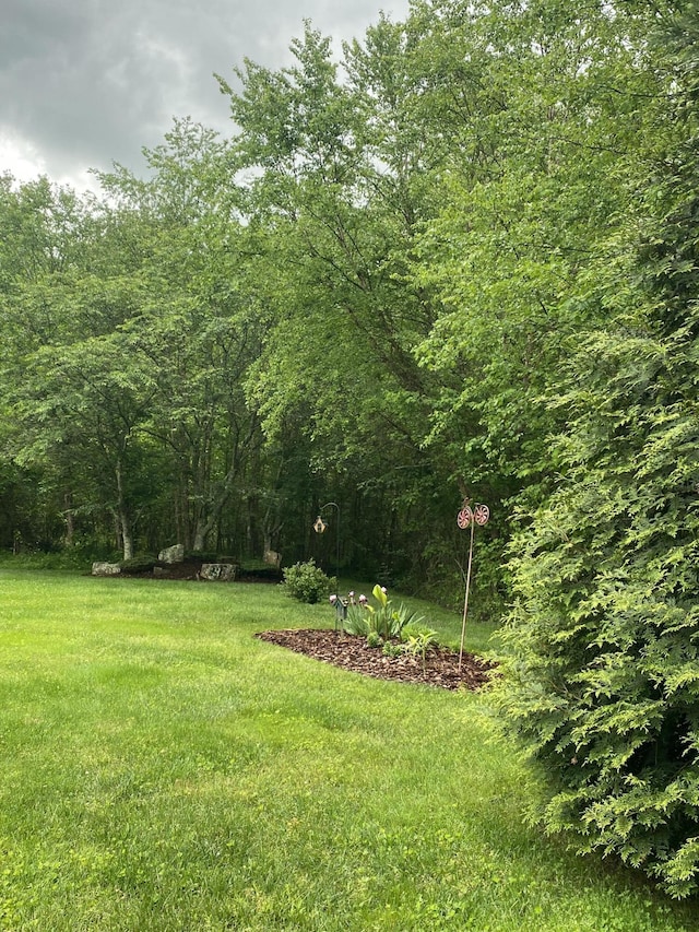 45 Rons Pond Rd, Corbin, KY 40701 - view of grassy yard with a forest view