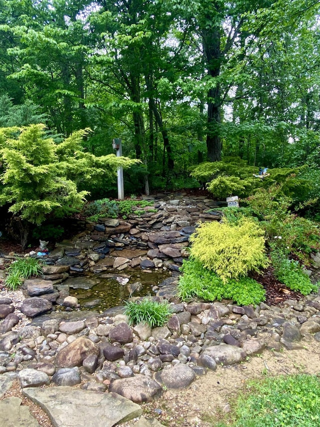 45 Rons Pond Rd, Corbin, KY 40701 - view of yard