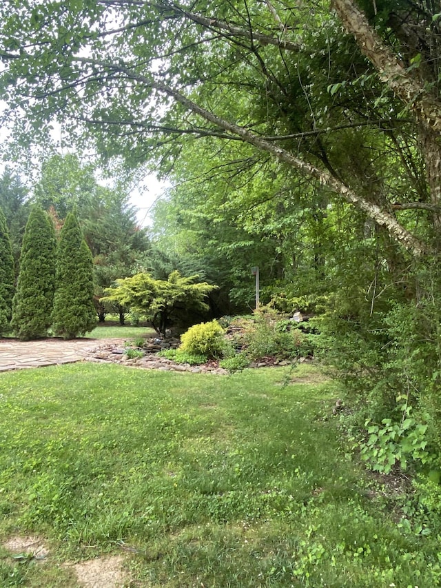 45 Rons Pond Rd, Corbin, KY 40701 - view of green lawn featuring a view of trees