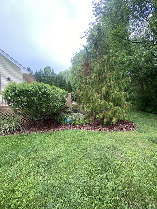 45 Rons Pond Rd, Corbin, KY 40701 - view of grassy yard