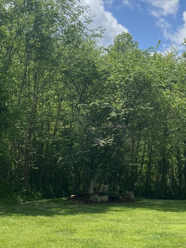 45 Rons Pond Rd, Corbin, KY 40701 - view of woods