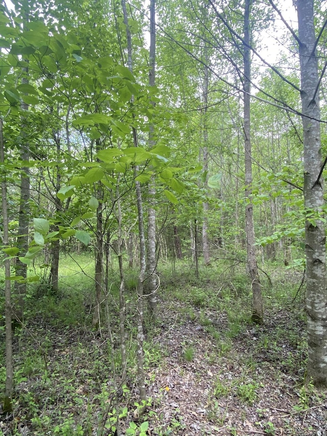 45 Rons Pond Rd, Corbin, KY 40701 - view of woods