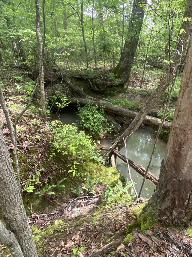 45 Rons Pond Rd, Corbin, KY 40701 - view of wooded area