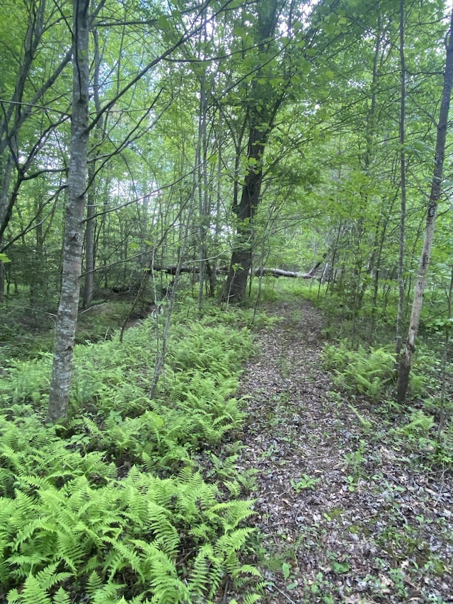 45 Rons Pond Rd, Corbin, KY 40701 - view of woods