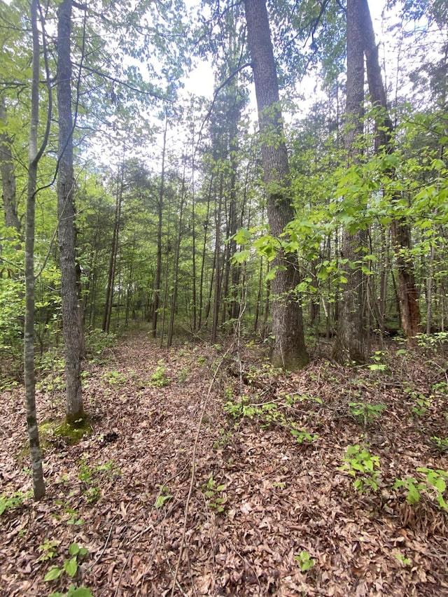 45 Rons Pond Rd, Corbin, KY 40701 - view of woods
